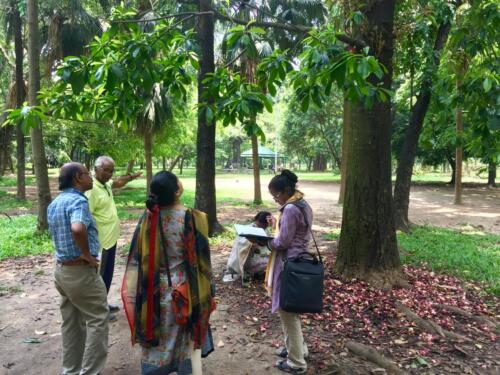 Exploring a Nagalingam tree with Professor Dwijen Sharma 
