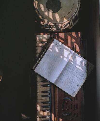 Debnath Nabanita — Khulna