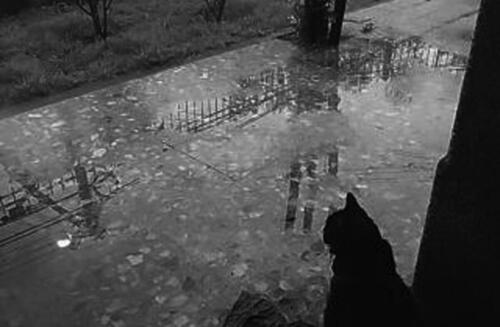 Mario Salvador De Marco — Buenos Aires