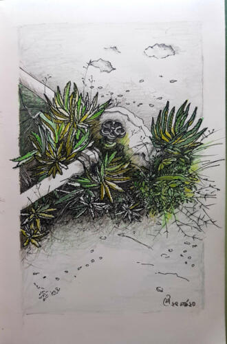 ‘An Unusual Bloom’, Mixed media on paper by Moushumi Ahmed — Dhaka