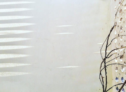 Rehnuma Tasnim Sheefa — Dhaka