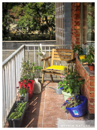 Topophilia, by Salma Begum — Leuven