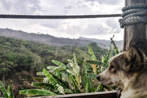 Shahriaz Alam — Bandarban