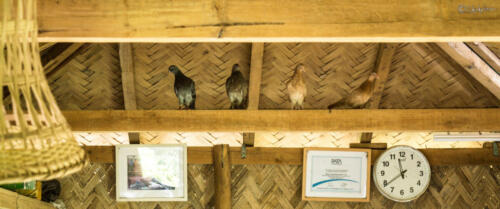 Shahriaz Alam — Bandarban