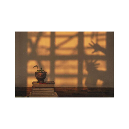 Sumaita Tahseen — Piacenza